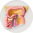 Retroperitoneum