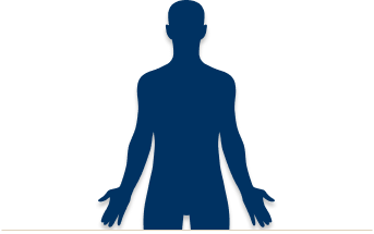 phenotypes-body-outline