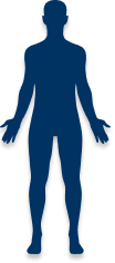 phenotypes-body-outline