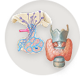 Thyroid and pituitary glands